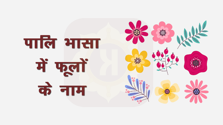 Flowers Name in Pali Language